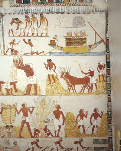 エジプト、テーベ、ルクソール、シェイク・アブド・アル・クルナ、王室財産管理官メンナの墓、前庭、壁画、畑仕事 作： Egyptian 18th Dynasty