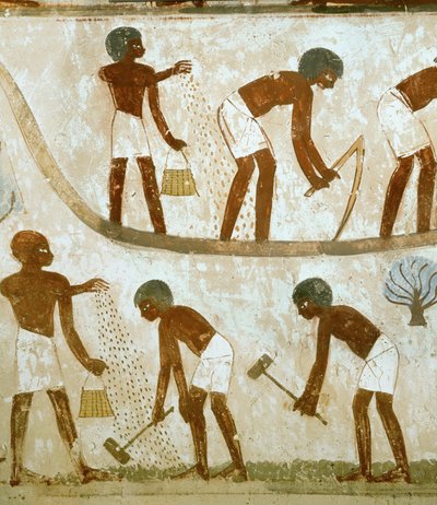  作： Egyptian 18th Dynasty