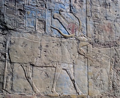 聖なる牛の姿をしたハトホル女神、描かれたレリーフ、ハトシェプスト女王葬祭殿ハトホル礼拝堂、別名ジェセル＝ジェセル、デイル・エル＝バハリ、テーベ（ユネスコ世界遺産リスト 作： Egyptian 18th Dynasty