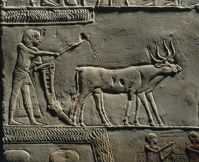 イアルの野原で土地を耕すホレムヘブ。サッカラのホレムヘブの墓のレリーフ、詳細。 作： Egyptian 18th Dynasty