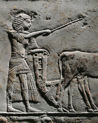 イアルの野原で土地を耕すホレムヘブ、サッカラのホレムヘブ墓のレリーフ、詳細 作： Egyptian 18th Dynasty