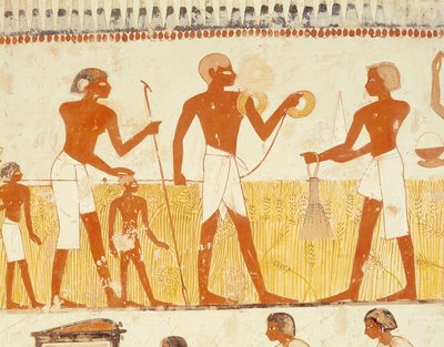 新しい王国、メナの墓礼拝堂からのロープを使用した土地の測定（壁画）（251666も参照） 作： Egyptian 18th Dynasty