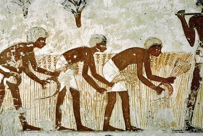  作： Egyptian 18th Dynasty