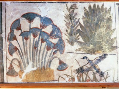 植物に挟まれた鴨を描いた絵（エジプト、エル・アワラ、アケナトン宮殿所蔵 作： Egyptian 18th Dynasty