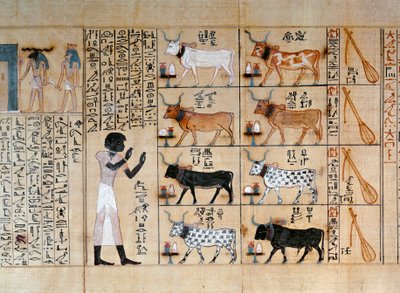 牛を描いたパピルス（マイヘルペリの死者の書より 作： Egyptian 18th Dynasty