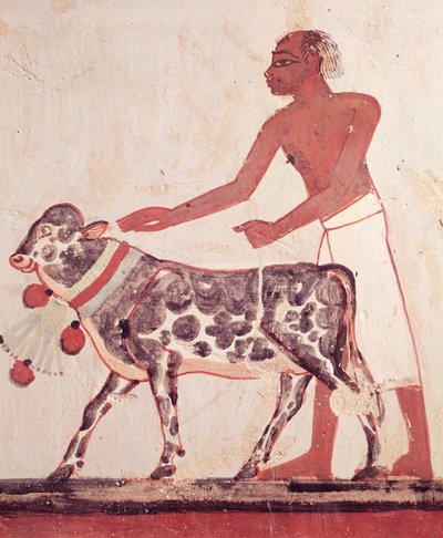 メンナの墓から、農民が牛を生け贄に捧げる（壁画） 作： Egyptian 18th Dynasty