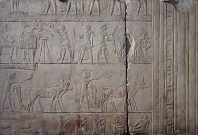 イアルの畑で農作業をしているファラオ・ホレムヘブ、農民から捧げられた収穫物を受け取っている様子、石灰岩の壁面レリーフ、サッカラのメンファイトのホレムヘブ墳墓より、エジプト文明、新王国、第18王朝時代 作： Egyptian 18th Dynasty