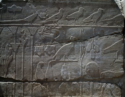 紀元前1465年、トゥトモセ3世のシリア遠征から持ち帰られた動植物、レリーフの詳細、いわゆる植物園として知られるホール、アメン神殿、カルナック神殿群、エジプト文明、新王国時代、第18王朝時代 作： Egyptian 18th Dynasty
