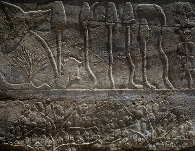 紀元前1465年、トゥトモセ3世のシリア遠征から持ち帰られた植物、レリーフの詳細、いわゆる植物園として知られるホール、アメン神殿、カルナック神殿群、エジプト文明、新王国時代、第18王朝時代 作： Egyptian 18th Dynasty