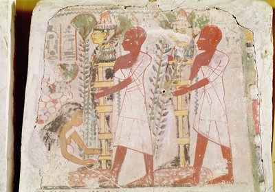 浄化儀式のための2つのミイラの準備、新王国、メリーマートの墓（壁画） 作： Egyptian 18th Dynasty