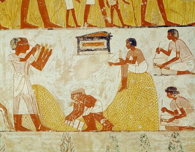 メナの墓からの収穫を記録（壁画） 作： Egyptian 18th Dynasty