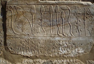紀元前1465年、シリア遠征から帰還したトゥトモセ3世がアムンに捧げた動植物のレリーフ、植物園の間、カルナック、テバン・ネクロポリス、ルクソール、エジプト、新王国時代、第18王朝 作： Egyptian 18th Dynasty