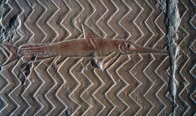 魚の表現、プント王国の情景、中央列柱の南壁、ハトシェプスト葬祭殿、デイル・エル・バハリ、ルクソール、テーベ（ユネスコ世界遺産リスト 作： Egyptian 18th Dynasty