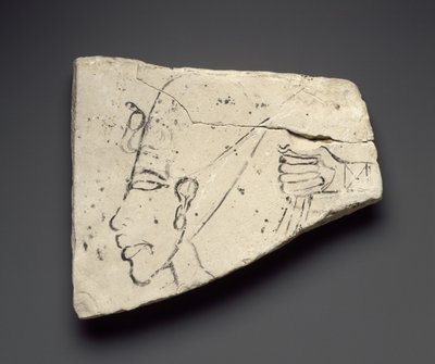 テルエルアマルナの大宮殿からのアケナテンの頭と手のスケッチ（石灰岩） 作： Egyptian 18th Dynasty