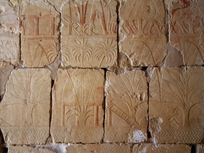 植生、プントの地への遠征を描いた場面の細部、描かれたレリーフ、プントの列柱廊、ハトシェプスト葬祭殿、デイル・エル・バハリ、テーベンのネクロポリス（ユネスコ世界遺産リスト 作： Egyptian 18th Dynasty