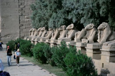 ニューイングランド、アメンの偉大な神殿への行列の道に並ぶラム頭のスフィンクスの並木道 作： Egyptian 19th Dynasty