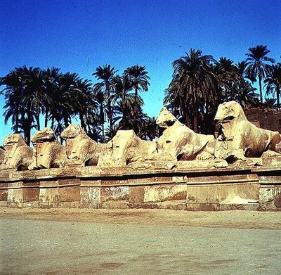 新しい王国、アメンの偉大な神殿への行列の道に並ぶ、ラムの頭のスフィンクスの並木道 作： Egyptian 19th Dynasty