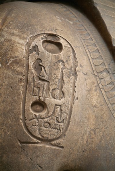 腕のカルトゥーシュ、メンフィス、ラメセス2世の巨像の刻印（ユネスコ世界遺産リスト 作： Egyptian 19th Dynasty