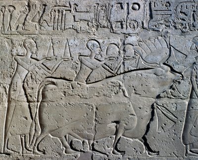 レリーフ、アメン神殿、ラメセス2世の中庭（ユネスコ世界遺産リスト 作： Egyptian 19th Dynasty