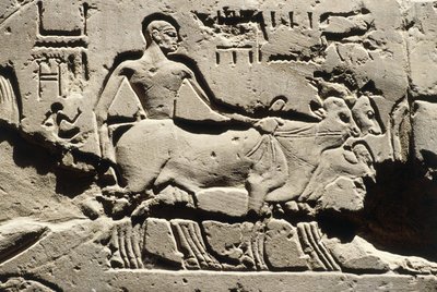 エジプト 古代エジプト、ルクソール、ルクソール神殿、ラムセス2世の中庭、浮き彫り、新王国時代、第十九王朝（紀元前1290～1224年） 作： Egyptian 19th Dynasty