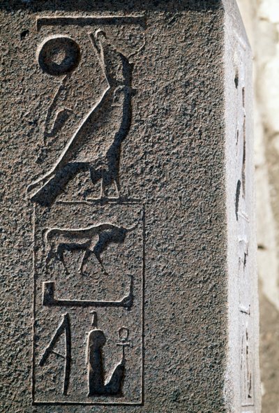 ホルスの名を記したヒエログリフ、エジプト、タニス、アメン大神殿、新王国時代、XIX年 作： Egyptian 19th Dynasty