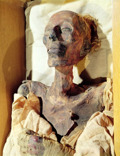 デイルアルバーリの墓で発見されたラムセス2世のミイラ化した遺体（紀元前1304-1237年） 作： Egyptian 19th Dynasty