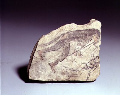 笛を吹く猿の像が描かれたオストラコン 新王国時代（彩色石灰岩 作： Egyptian 19th Dynasty