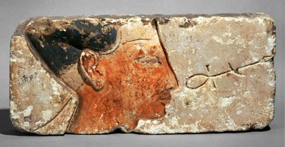 ラムセス2世と思われる王の横顔 - ラムセス2世の横顔。石灰岩に描かれた... 作： Egyptian 19th Dynasty