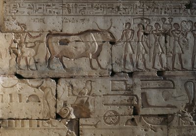 レリーフ、ラムセス2世神殿、アビドス、エジプト、エジプト文明、新王国時代、第19王朝（写真） 作： Egyptian 19th Dynasty