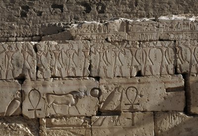 レリーフ、ラムセス2世神殿、アビドス、エジプト、エジプト文明、新王国時代、第19王朝（写真） 作： Egyptian 19th Dynasty