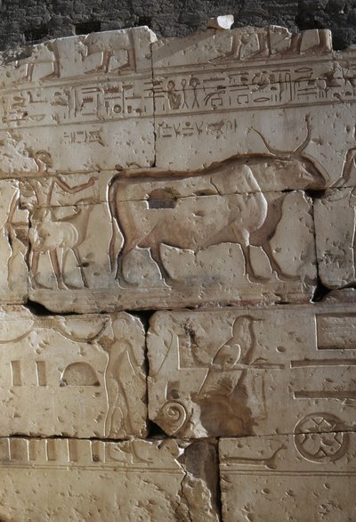 レリーフ、ラムセス2世神殿、アビドス、エジプト、エジプト文明、新王国時代、第19王朝（写真） 作： Egyptian 19th Dynasty