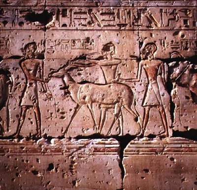 救済は、犠牲になるために行列で導かれているオリックスを描写しました 作： Egyptian 19th Dynasty