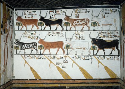 7頭の天牛、夫の雄牛、4本の操舵用オール、死者の書第148章、ルクソール、テーベの女王の谷、ネフェルタリの墓の第2室のフレスコ画の詳細。エジプト文明、新王国時代、第十九王朝。 作： Egyptian 19th Dynasty