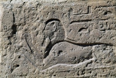 スフィンクス、レリーフ付きブロック、アメン大神殿、エジプト、タニス、新王国時代、16世紀 作： Egyptian 19th Dynasty