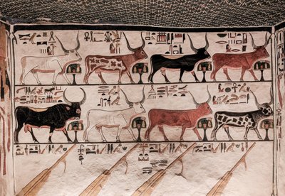 ネフェルタリの墓（壁画） 作： Egyptian 19th Dynasty