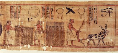 ネブ・ヘペトの死者の書、畑の詳細 作： Egyptian 21st Dynasty
