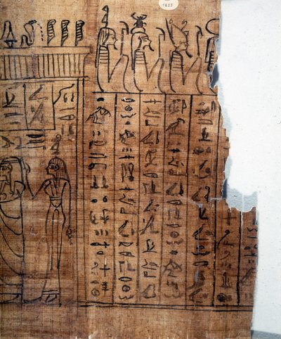 死者の書：第22王朝時代のパピルスに描かれたエジプトのヒエログリフ。詳細はこちら紀元前9世紀。トリノ、エジプト博物館。 作： Egyptian 22nd Dynasty