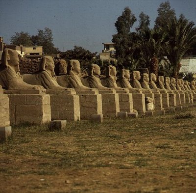 スフィンクスの大通り、ネクタネボ1世（紀元前380〜362年）末期に追加 作： Egyptian 30th Dynasty