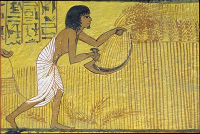 古代エジプト、壁画、セネデムの墓、貴族の墓、テーベ、デイル・エル・メディナ 作： Egyptian Egyptian