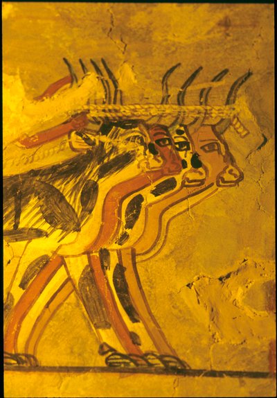 古代エジプト、壁画、セヌファーの墓、貴族の墓、テーベ 作： Egyptian Egyptian