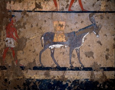 エジプトのアンティーク。"the transport of grain on a mule" 紀元前2200-2000年、イティ王（またはイティ）の首相の墓の壁に描かれたテンペラ画。ルクソールのエル・ゲベレンから。トリノ、エジプト博物館 作： Egyptian Egyptian