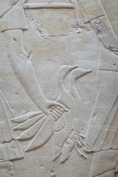 2羽のガチョウの羽を持つ手、ラモースの墓 作： Egyptian Egyptian