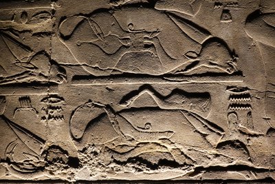 ルクソール神殿：生贄の牛（レリーフ） 作： Egyptian Egyptian