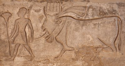 牛を引く男、ホルス神殿、エドフ 作： Egyptian Egyptian