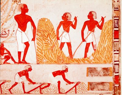 古代エジプトの収穫の様子（フレスコ画 作： Egyptian Egyptian