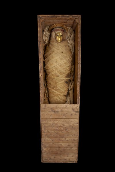 羽原出身の棺桶のミイラ 作： Egyptian Ptolemaic Period