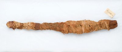 クロコダイルのミイラ、マンファロント、紀元前305-30年に発見（動物の遺体とリネン） 作： Egyptian Ptolemaic Period