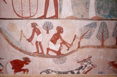 農耕の様子（草刈りと薪割り）（エジプト、貴族の谷、シェイク・アブド・エル・クルナの墓より 作： Egyptian School