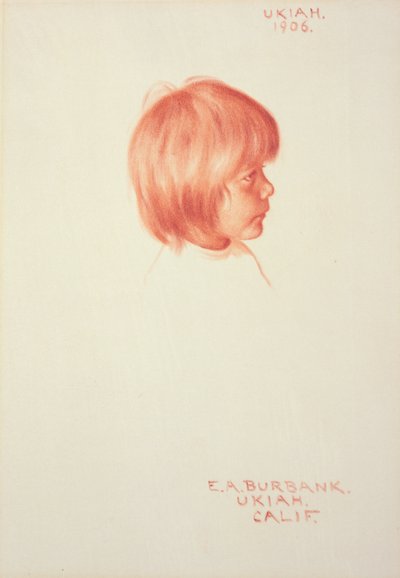 ウキア 作： Elbridge Ayer Burbank