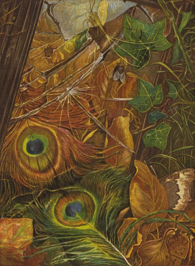そして、子供は鏡のことなど気にかけなかった (カラーリソ) 作： Eleanor Fortescue Brickdale